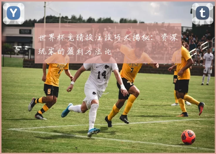 世界杯竞猜投注技巧大揭秘：资深玩家的盈利方法论