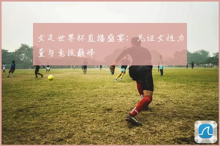 女足世界杯直播盛宴：见证女性力量与竞技巅峰