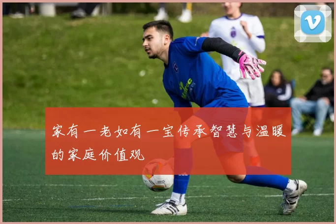 家有一老如有一宝传承智慧与温暖的家庭价值观