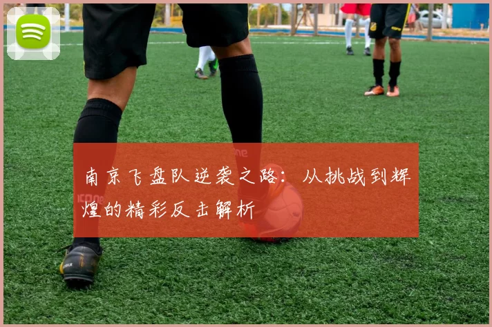 南京飞盘队逆袭之路：从挑战到辉煌的精彩反击解析