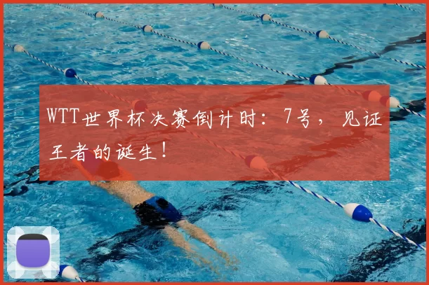 WTT世界杯决赛倒计时：7号，见证王者的诞生！