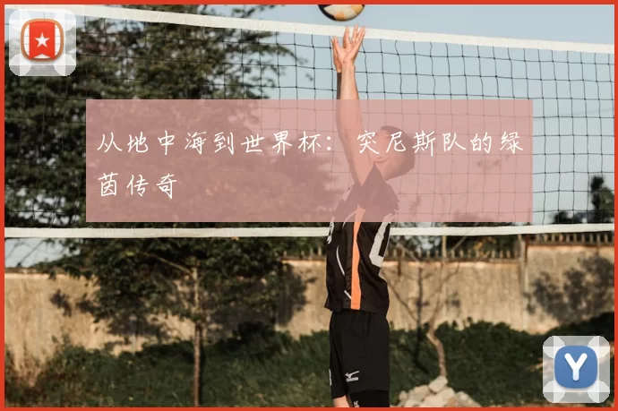 从地中海到世界杯：突尼斯队的绿茵传奇