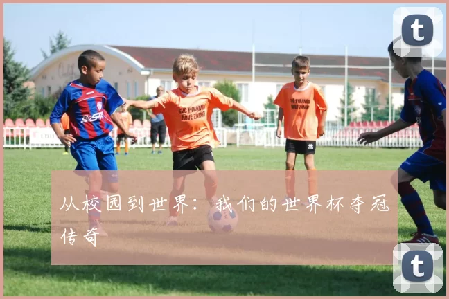 从校园到世界:我们的世界杯夺冠传奇