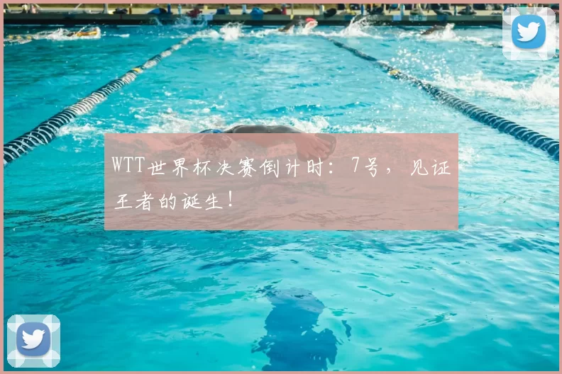 WTT世界杯决赛倒计时：7号，见证王者的诞生！