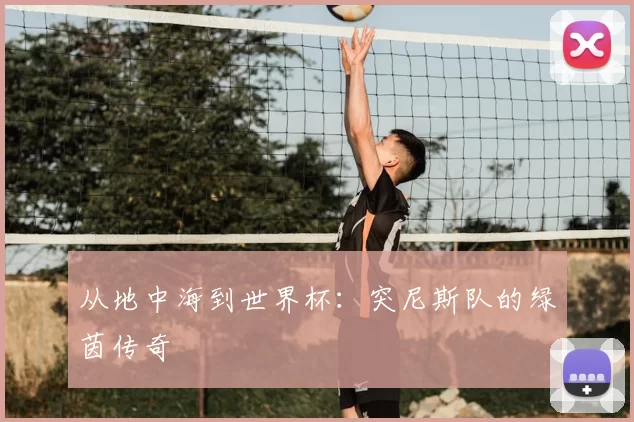 从地中海到世界杯：突尼斯队的绿茵传奇