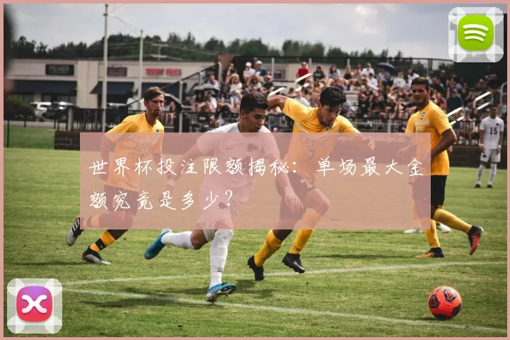 世界杯投注限额揭秘:单场最大金额究竟是多少?
