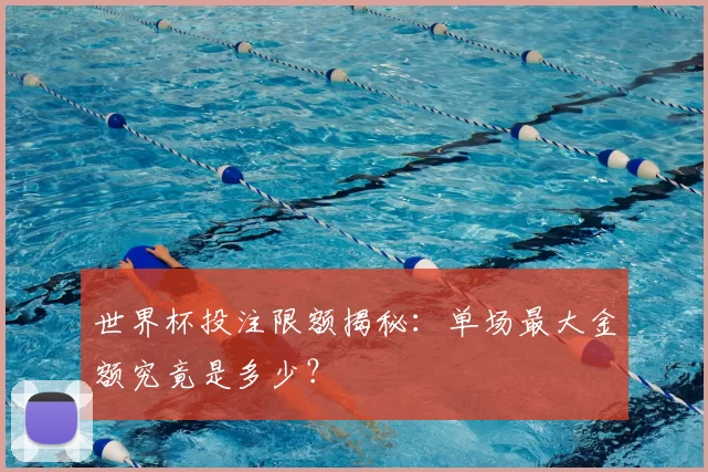 世界杯投注限额揭秘:单场最大金额究竟是多少?