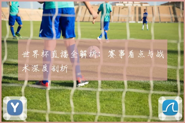 世界杯直播全解析：赛事看点与战术深度剖析