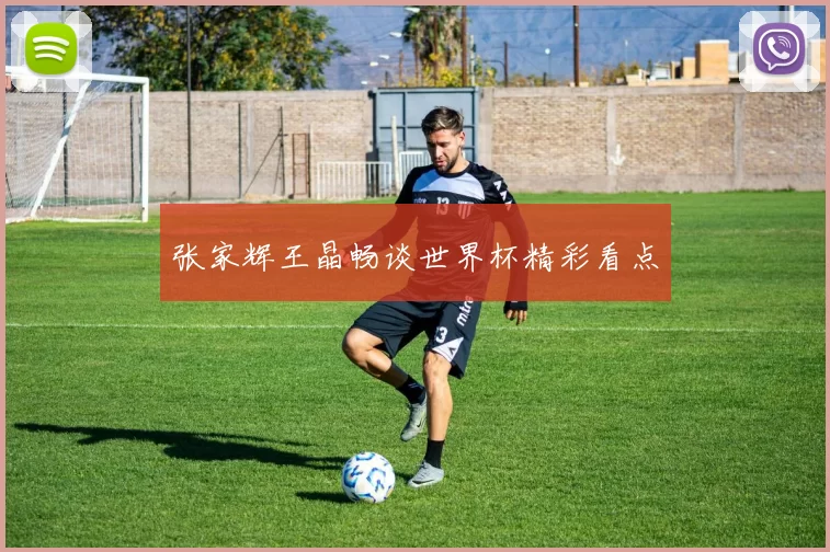 张家辉王晶畅谈世界杯精彩看点