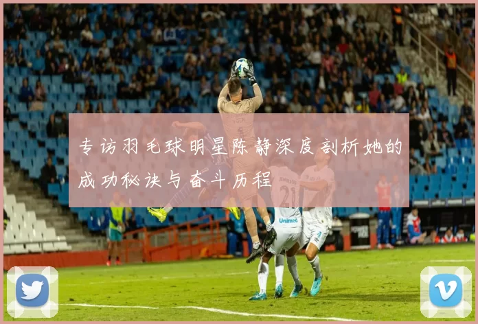 专访羽毛球明星陈静深度剖析她的成功秘诀与奋斗历程