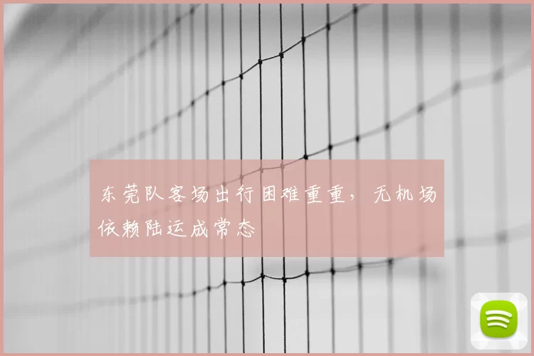 东莞队客场出行困难重重，无机场依赖陆运成常态