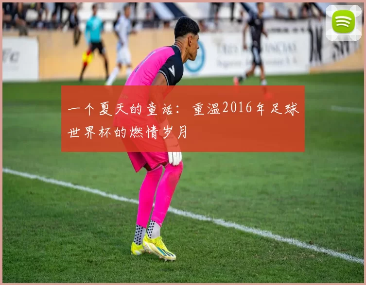 一个夏天的童话：重温2016年足球世界杯的燃情岁月