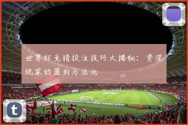 世界杯竞猜投注技巧大揭秘：资深玩家的盈利方法论