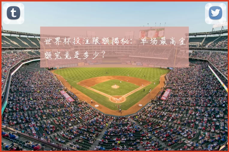 世界杯投注限额揭秘：单场最高金额究竟是多少？