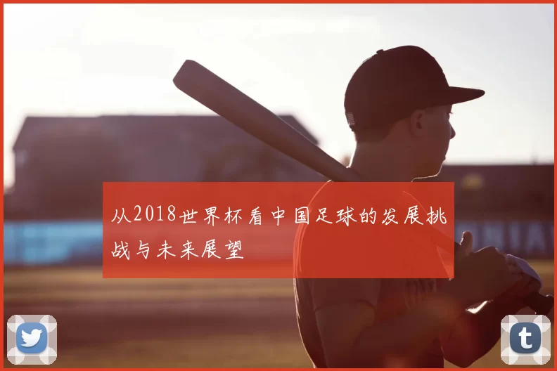 从2018世界杯看中国足球的发展挑战与未来展望
